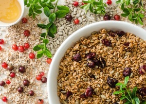 Cranberry Müsli